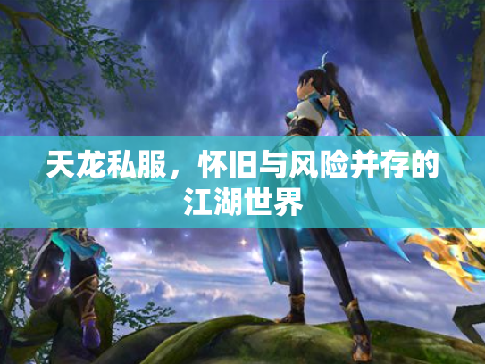 天龙私服，怀旧与风险并存的江湖世界