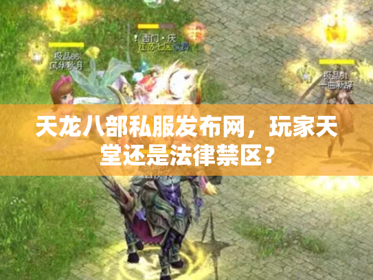 天龙八部私服发布网，玩家天堂还是法律禁区？