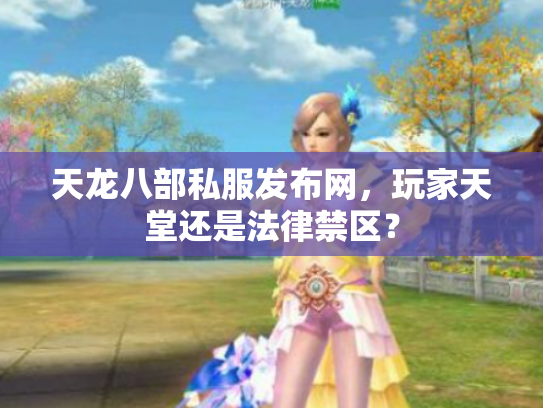 天龙八部私服发布网，玩家天堂还是法律禁区？