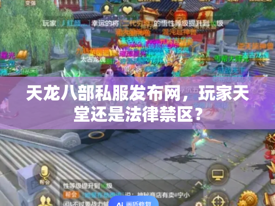 天龙八部私服发布网，玩家天堂还是法律禁区？
