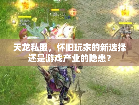 天龙私服，怀旧玩家的新选择还是游戏产业的隐患？