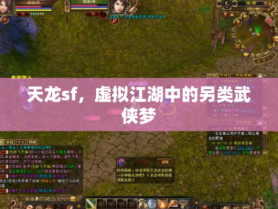 天龙sf，虚拟江湖中的另类武侠梦