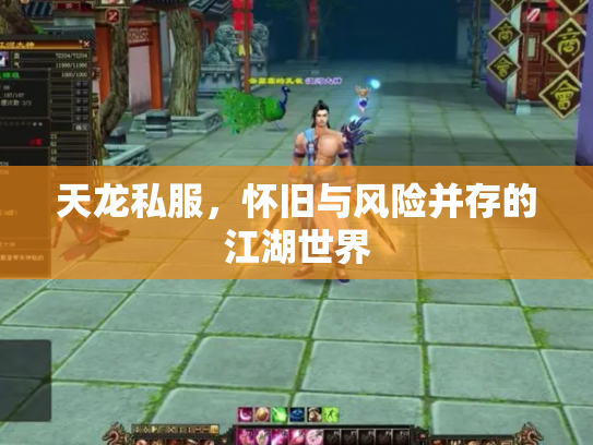 天龙私服，怀旧与风险并存的江湖世界