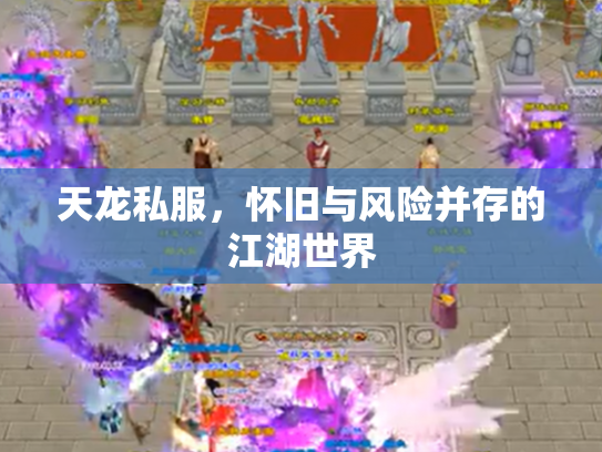 天龙私服，怀旧与风险并存的江湖世界