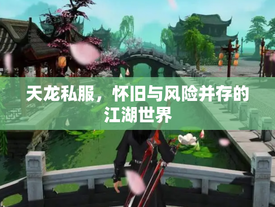 天龙私服，怀旧与风险并存的江湖世界