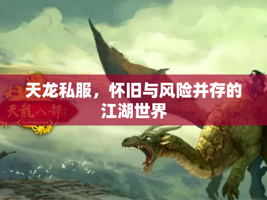 天龙私服，怀旧与风险并存的江湖世界