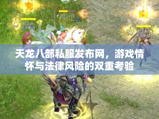 天龙八部私服发布网，游戏情怀与法律风险的双重考验