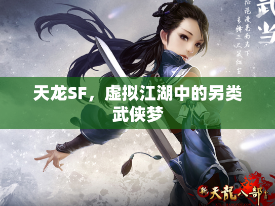 天龙SF，虚拟江湖中的另类武侠梦