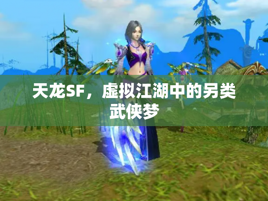 天龙SF，虚拟江湖中的另类武侠梦