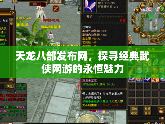 天龙八部发布网，探寻经典武侠网游的永恒魅力
