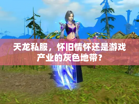 天龙私服，怀旧情怀还是游戏产业的灰色地带？