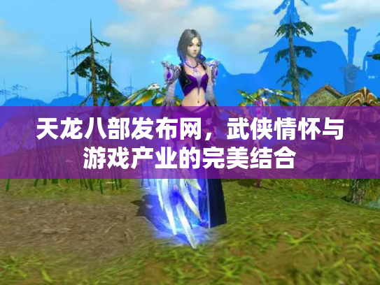 天龙八部发布网，武侠情怀与游戏产业的完美结合
