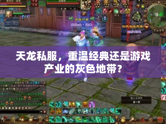 天龙私服，重温经典还是游戏产业的灰色地带？