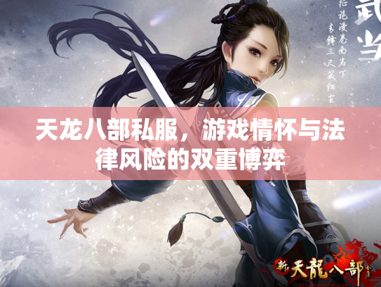 天龙八部私服，游戏情怀与法律风险的双重博弈