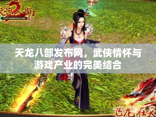 天龙八部发布网，武侠情怀与游戏产业的完美结合