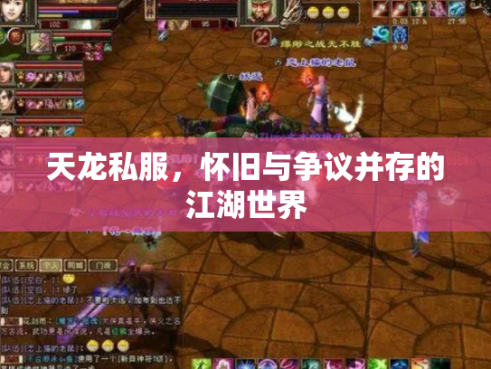 天龙私服，怀旧与争议并存的江湖世界