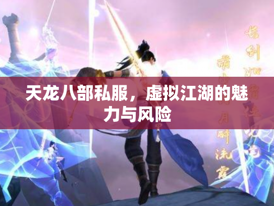 天龙八部私服，虚拟江湖的魅力与风险