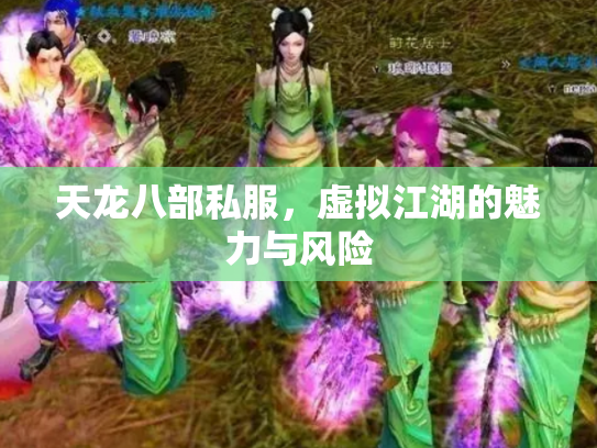 天龙八部私服，虚拟江湖的魅力与风险