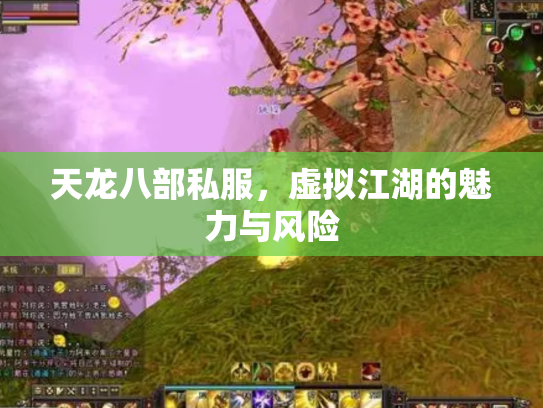 天龙八部私服，虚拟江湖的魅力与风险