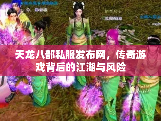 天龙八部私服发布网，传奇游戏背后的江湖与风险