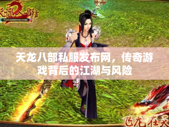 天龙八部私服发布网，传奇游戏背后的江湖与风险