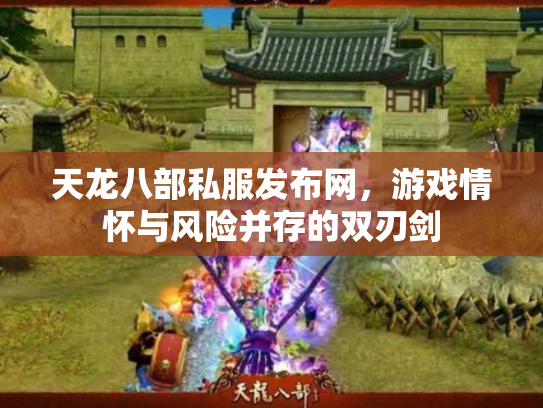 天龙八部私服发布网，游戏情怀与风险并存的双刃剑