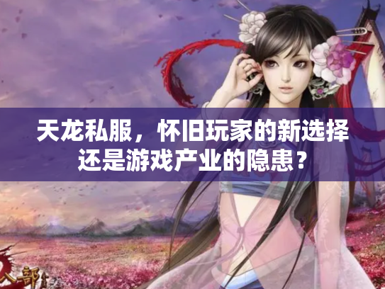 天龙私服，怀旧玩家的新选择还是游戏产业的隐患？