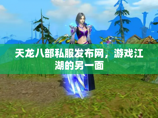 天龙八部私服发布网，游戏江湖的另一面