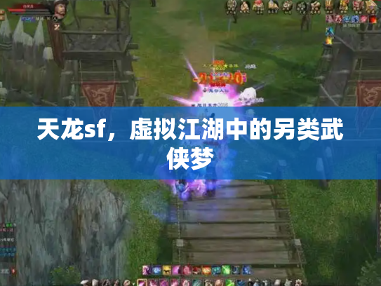 天龙sf，虚拟江湖中的另类武侠梦