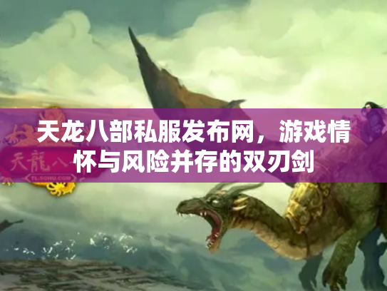 天龙八部私服发布网，游戏情怀与风险并存的双刃剑