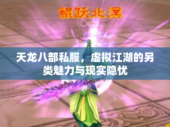 天龙八部私服，虚拟江湖的另类魅力与现实隐忧