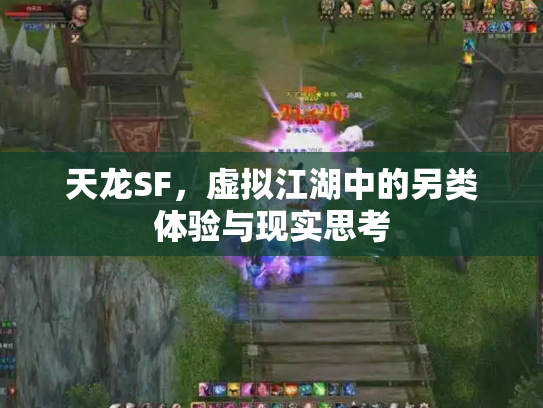 天龙SF，虚拟江湖中的另类体验与现实思考