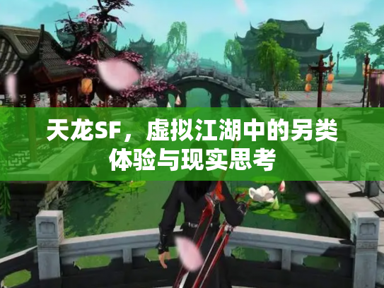 天龙SF，虚拟江湖中的另类体验与现实思考