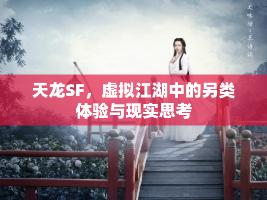 天龙SF，虚拟江湖中的另类体验与现实思考