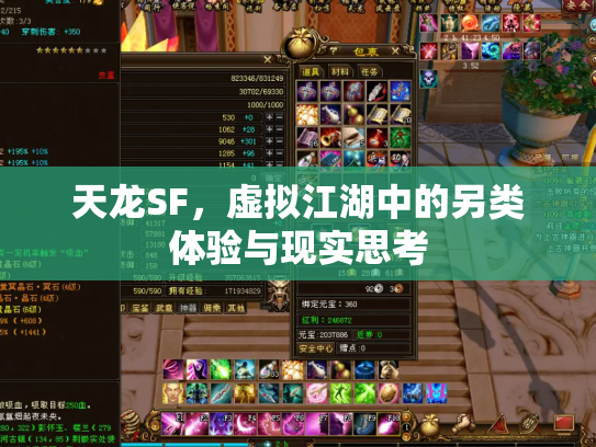 天龙SF，虚拟江湖中的另类体验与现实思考