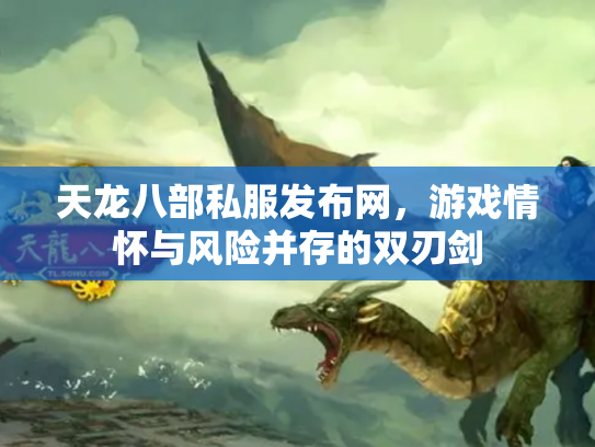天龙八部私服发布网，游戏情怀与风险并存的双刃剑