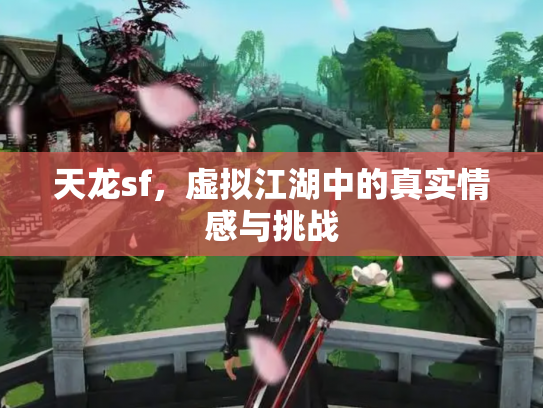 天龙sf，虚拟江湖中的真实情感与挑战