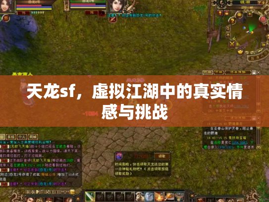 天龙sf，虚拟江湖中的真实情感与挑战