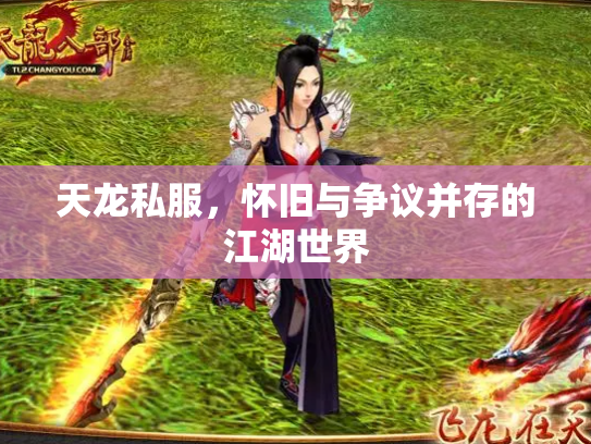 天龙私服，怀旧与争议并存的江湖世界
