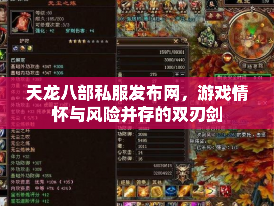 天龙八部私服发布网，游戏情怀与风险并存的双刃剑