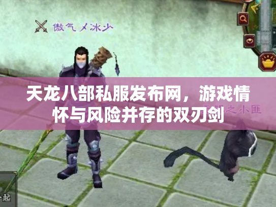 天龙八部私服发布网，游戏情怀与风险并存的双刃剑