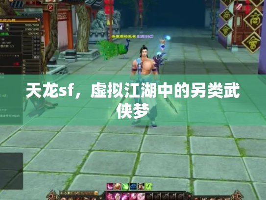 天龙sf，虚拟江湖中的另类武侠梦