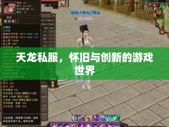 天龙私服，怀旧与创新的游戏世界