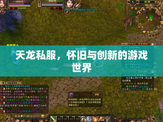 天龙私服，怀旧与创新的游戏世界