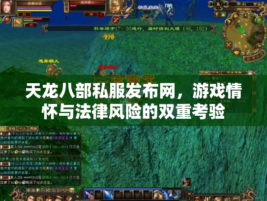 天龙八部私服发布网，游戏情怀与法律风险的双重考验