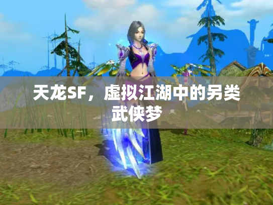 天龙SF，虚拟江湖中的另类武侠梦