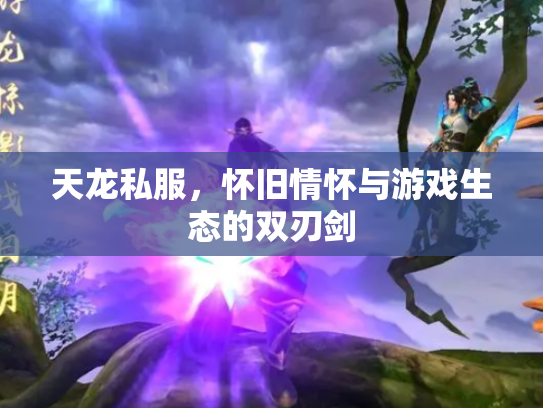 天龙私服，怀旧情怀与游戏生态的双刃剑
