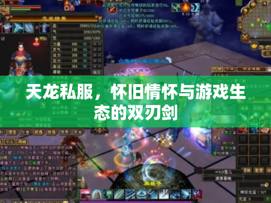天龙私服，怀旧情怀与游戏生态的双刃剑