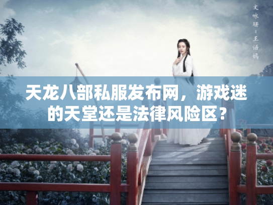 天龙八部私服发布网，游戏迷的天堂还是法律风险区？