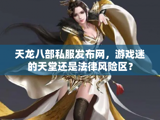 天龙八部私服发布网，游戏迷的天堂还是法律风险区？